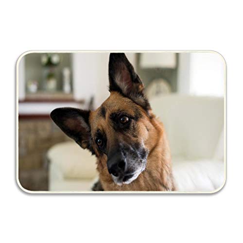 KunnPillowcase Sweet German Shepherd Dog with Tilted Head Absorbent Anti-Slip Mat Indoor/Outdoor Decor Rug Doormat 24x16 Inch Home Decor
