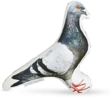 Pigeon Pillow