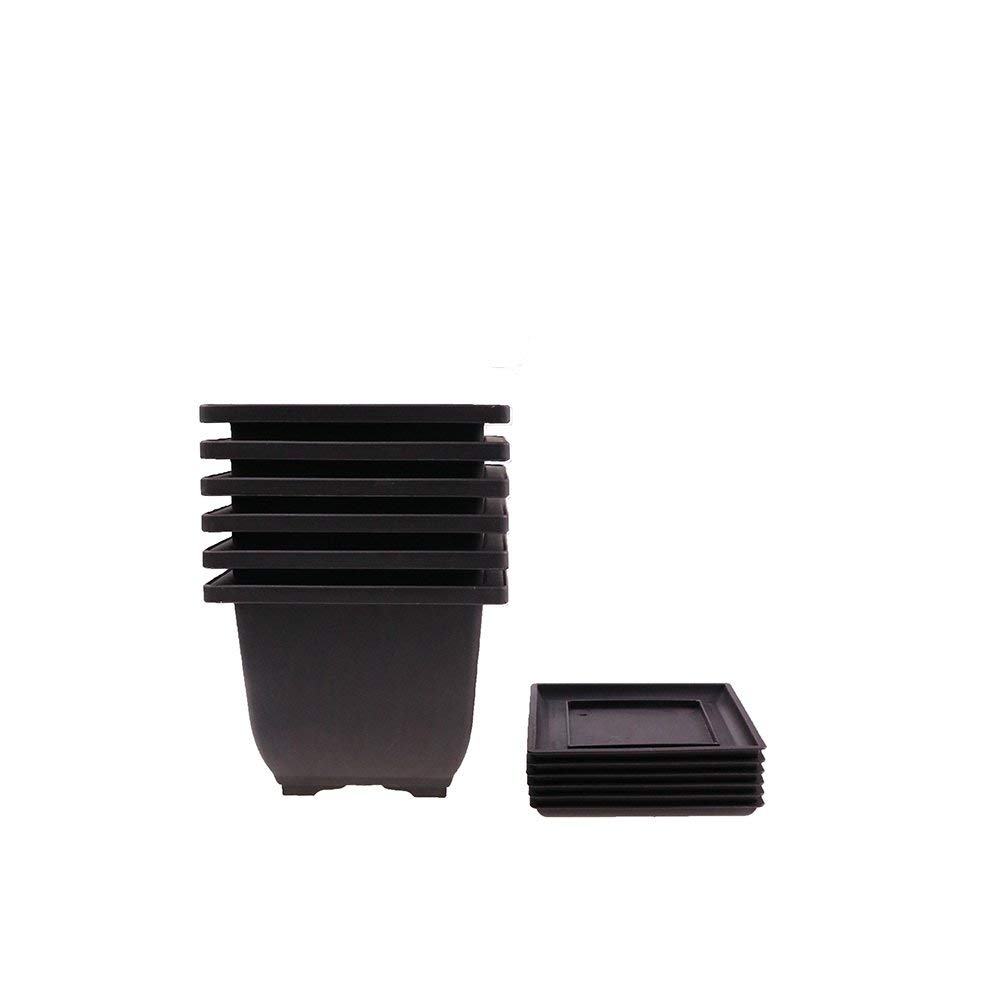 6PCS/Pack Retro Style Deep Square Small Bonsai Training Pots with Tray, Mini Plastic Mocha Garden Flower Pot 5"