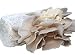 Oyster Mushroom Growing Kit Log Organic Non-GMO 3 lbs Log by Dave Mushroom farm - Grow Your own Delicious Organic Oyster Mushrooms at Home