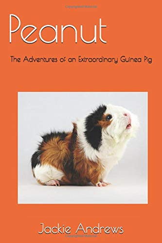 scratch proof leather sofa