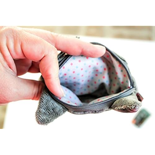 Clothing, Shoes & Jewelry, Women, Accessories, Wallets, Card Cases & Money Organizers, Coin Purses & Pouches