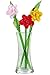 Red Co. Decorative Glass Lovely Flower Bouquet with Vase, Gift Boxed – Begonias