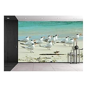 Birds in The Beach in Los Roques - Removable Wall Mural | Self-Adhesive Large Wallpaper - 66x96 inches