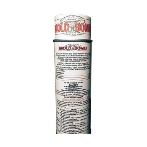Mold Fogger image