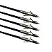Bowfishing Arrow barb Grapple Point with Fiberglass Shaft(6 pack)
