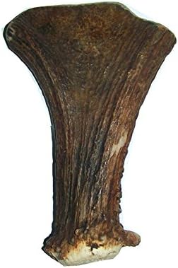 F'N Huge Alaskan Moose Antler Dog Chew