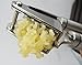 Best Garlic Press With Cleaning Brush - Solid 18/10 Stainless Steel Garlic Crusher Mincer Ginger Tools