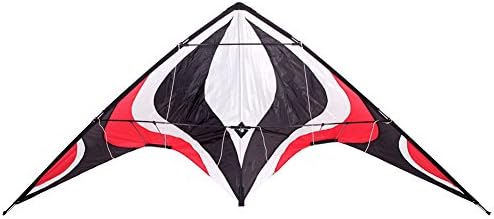 Babyeden Sport Prism Delta Dual-Line Stunt Kite, 84-Inch …