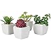 MyGift Artificial Assorted Mini Succulents Plants in Modern White Cube Shaped Ceramic Planter Pots, Set of 4 / Small Potted Colorful Faux Succulent Plants
