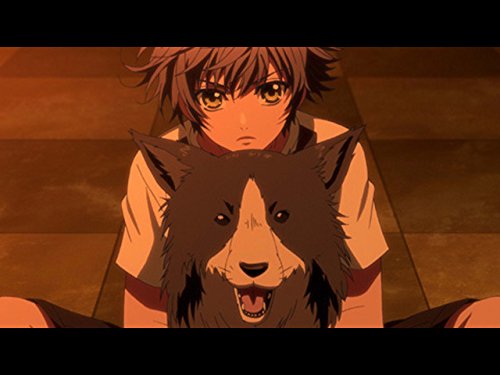 Amazon Co Jp 八犬伝 東方八犬異聞 を観る Prime Video Amazon Co Jp 八犬伝 東方八犬異聞 を観る Prime Video