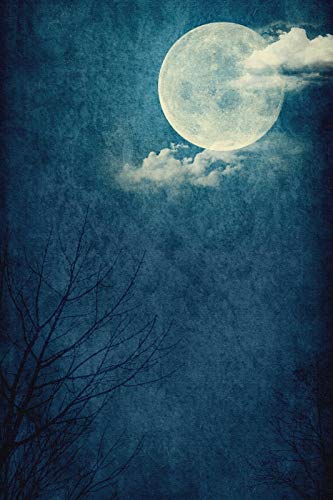 Camera Lens To Shoot Moon - fred photography