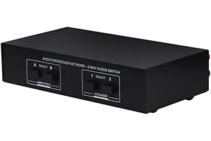 ECVGHD 2 in 2 Out Passive Power Amplifier Speaker Selector Selection Switch 200W Each