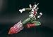 Bandai Tamashii Nations Kamen Rider V3 S.H.Figuarts Toy Figure