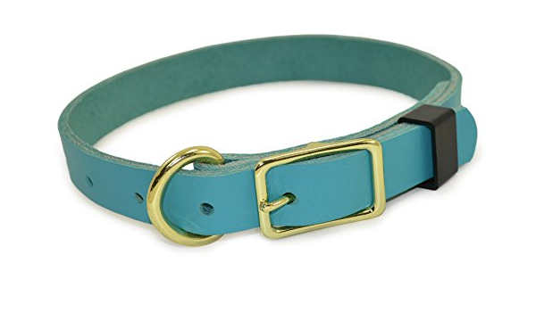 teal dog collars