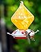Grateful Gnome - Hummingbird Feeder - Hand Blown Glass - Orange Sugar Cube - 18 Fluid Ounces - Additional Accessories Include S-Hook, Ant Moat, Brush and Hemp Rope Included