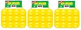 Coghlan's 511A Egg Carriers -