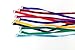 Midlee 4 Foot Dog Kennel Slip Lead Heavy Duty Nylon Pack of 10