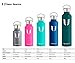 Super Sparrow Insulated Water Bottle with Straw - 25 oz - Reusable Leak Proof Thermos - BPA-Free Kids Water Bottle Stainless Steel - 2 Lids Metal Water Bottle for Sports, Travel, Camping