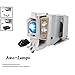 AWO Original P-VIP190W Lamp Bulb for SP.8VH01GC01/BL-FP190D/BL-FP190E with Housing for OPTOMA HD141X,EH200St,GT1080,HD26,S316,X316,W316,DW346,DX342,DX345,DX346,DH1008,DH1009,GT1080darbee HD29darbee