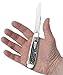 Case Burnt Indigo Trapper Pocket Knife