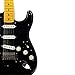 Fender Custom Shop Custom Shop David Gilmour Signature Stratocaster Electric Guitar Relic Black