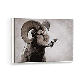 Framed Canvas Wall Art for Living Room, Bedroom Black and White Animal Canvas Prints for Home Decoration Ready to Hanging - 16x24 inches