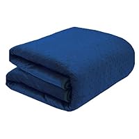 QIXIAOTING Manta Eléctrica De Calefacción De Dormitorio, Calentador Eléctrico De Cama De Cuerpo Entero, Termostato Estera De Calefacción Eléctrica Doméstica,Blue,60x130CM