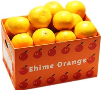 愛媛西宇和産媛の月みかん6kg 3kg 2箱 大きさ不揃い 見た目綺麗