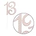 Ella Celebration 13 Cake Topper for 13th Birthday Party, Rose Gold Decoration, Rhinestone Metal Number (Rose Gold)