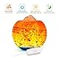 Himalayan Crystal Salt Lamp ,Lucktao USB Charge Adjustable with LED Dimmer Cord,Pure Salt Crystals in Glaze Bowl ,Relieve Stress Safety Salt Lamp,Holiday Gift lamp