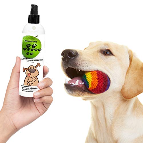 SunGrow AntiChew Spray, Deters Chewing and Biting by Dogs, Cats