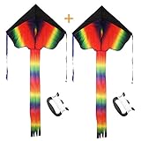 Rainbow Delta Kite, Easy Flyer, Long Tail Huge Flyer, for Kids and Adults, One of the Best Outdoor Activities for Kids, with Line and Handle