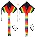 Rainbow Delta Kite, Easy Flyer, Long Tail Huge Flyer, for Kids and Adults, One of the Best Outdoor Activities for Kids, with Line and Handle