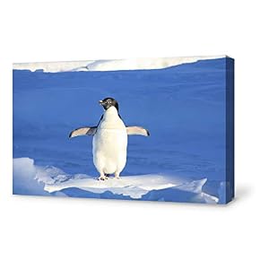 for Living Room Bedroom Home Artwork Paintings Animal...