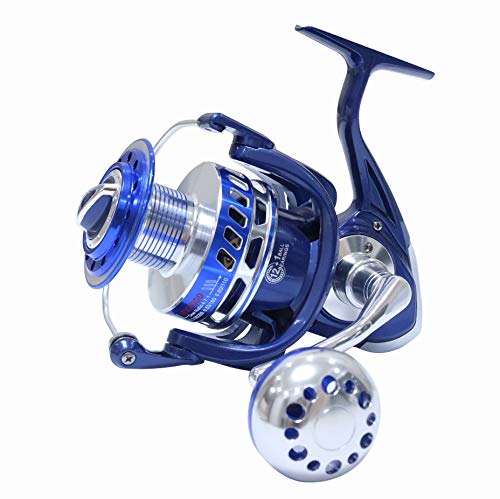 Hiumi 30KG Power Drag Saltiga Spinning Reels Heavy Duty Sea Fishing Boat Fishing Jigging Fishing Reel 4000 5000 6000 7000 8000 9000