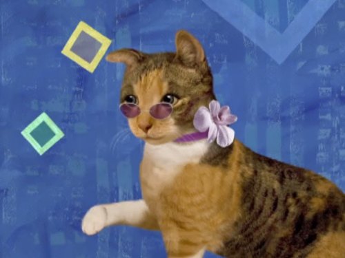 Top 10 Wonder Pets Of 2020 No Place Called Home