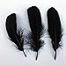 Sowder Natural Goose Feathers Clothing Accessories Pack of 100(Black)