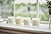 Le Conte Scented Candles - Monoi Vanilla Taha'a - The World’s First Visual Candle - Soy Wax 8oz. 50+ Burn time