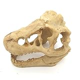 Mrli Pet Fish Tank Decorative Aquarium Decorations for Reptile Hide Turtle Basking Platform Emulational Dinosaur Skelecton Head Bone Skull Resin Ornament (Dinosaur Skull)