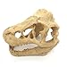 Mrli Pet Fish Tank Decorative Aquarium Decorations Reptile Hide Turtle Basking Platform Emulational Dinosaur Skelecton Head Bone Skull Resin Ornament (Dinosaur Skull)