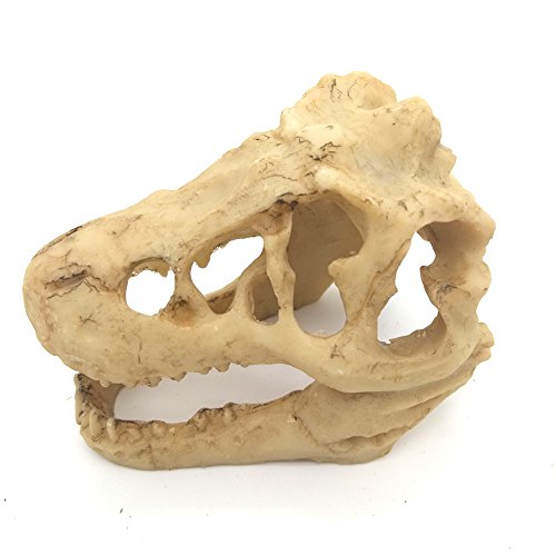 Mrli Pet Fish Tank Decorative Aquarium Decorations Reptile Hide Turtle Basking Platform Emulational Dinosaur Skelecton Head Bone Skull Resin Ornament (Dinosaur Skull)