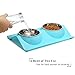 Double Dog Cat bowls Premium Stainless Steel Pet Bowls With No-Spill Resin Station Pet Food Water Feeder