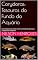 Livro Corydoras: Tesouros do Fundo do Aquário: Guia Completo para Cuidar e Criar um Ambiente Ideal para as Espécies de Corydoras