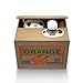 OliaDesign Cute Automatic Stealing Coin Cat Kitty Money Box