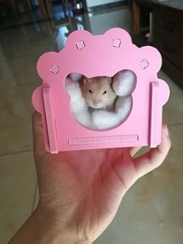 dwarf hamster hideout