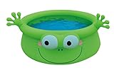Balance Living® Inflatable Frog Animal Pool Toy (69