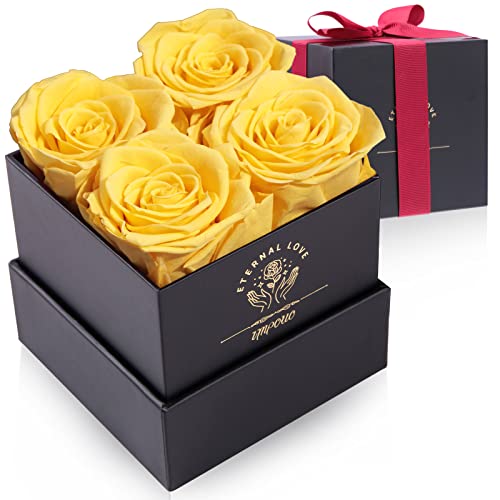 Update gefällig? Bei 24,99€ macht man mit Impouo Konservierte Rose einen guten Schnitt. Gönn dir diesen Rabatt!