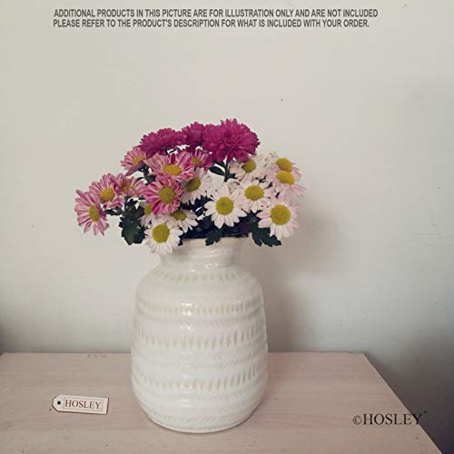 image for Hosley 7 Inch High Decorative Cream Ceramic Vase Ideal Gift for Weddin