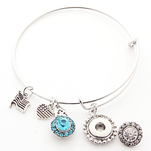 Ginooars Snap Bracelet Fit 12mm DIY Snap Noosa Ginger Charms Pack of 2